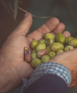 Alternative view of Roscetto Olio - bag in box 3 litri